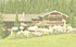 forsthofalm